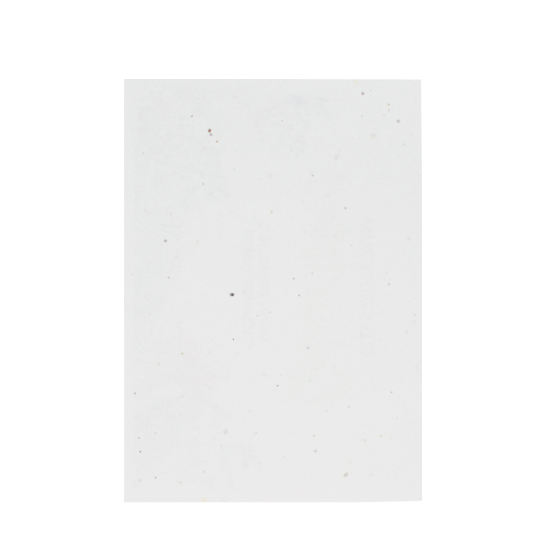 Unbedrucktes Samenpapier DIN A5 | 200 gr./m2 - Bild 2